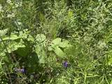 990 Bergeron Road - Photo 17