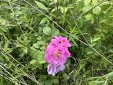 990 Bergeron Road - Photo 18