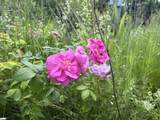 990 Bergeron Road - Photo 19