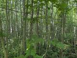 990 Bergeron Road - Photo 28
