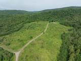 00 Birch Tree Lane - Photo 1