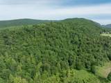00 Birch Tree Lane - Photo 5