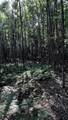 -- Oregon Road - Photo 36