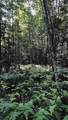-- Oregon Road - Photo 42