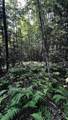 -- Oregon Road - Photo 43