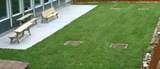 10-4-1 David Thompson Drive - Photo 6