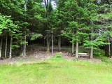 16 Griffin Road - Photo 48