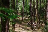 00 Nh Route 103 - Photo 9