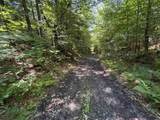 0 Hog Hollow Road - Photo 10