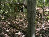 0 Hog Hollow Road - Photo 11
