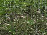 0 Hog Hollow Road - Photo 12