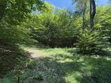 0 Hog Hollow Road - Photo 8