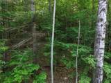 0 Old Carriage Road - Photo 11
