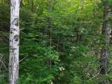 0 Old Carriage Road - Photo 12