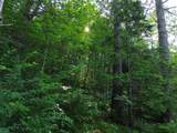 0 Old Carriage Road - Photo 13
