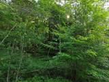 0 Old Carriage Road - Photo 14