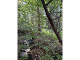 0 Old Carriage Road - Photo 16