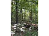 0 Old Carriage Road - Photo 18