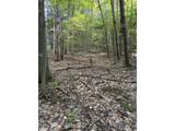 0 Old Carriage Road - Photo 22