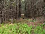 70 High Ridge Road - Photo 13