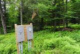 1220 Camp Winape Road - Photo 6