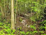  Smead Road - Photo 4