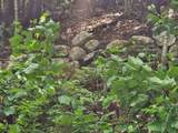  Smead Road - Photo 5