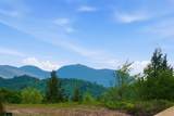  Melina's Way - Photo 31