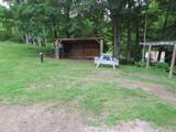 229 Longmoore Drive - Photo 3