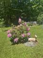 530 Marlow Road - Photo 15