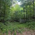 Lot 4B-29-2 Joslin Road - Photo 7