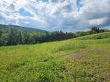 LOT 2 Ginnie Lane - Photo 6