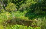 535 Oxbow Road - Photo 48