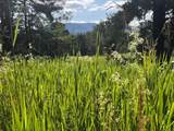 0000 Darling Hill Road - Photo 8