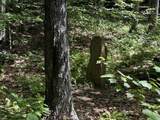 00 Quarry Road - Photo 12