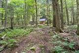 3992 Main Road - Photo 25
