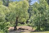 229 Back Ashuelot Road - Photo 17