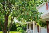 17 Elmwood Drive - Photo 4