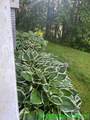142 Folsom Hill Road - Photo 7