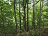 208 Nh Route 3A - Photo 8