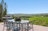 344 Morrie Road - Photo 2