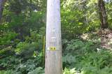 1336 Route 100 - Photo 6