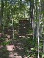 Lot #14 Pocket Road - Photo 8