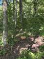 Lot #14 Pocket Road - Photo 9