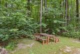 473 Sunderland Woods Road - Photo 41