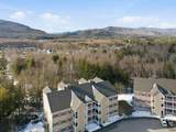 20 Twin Tip Terrace - Photo 41