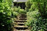 1123 Snipe Ireland Road - Photo 36