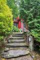 221 Red Pine Road - Photo 9