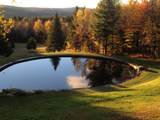 576 Hampshire Hill Road - Photo 48