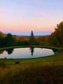 576 Hampshire Hill Road - Photo 51